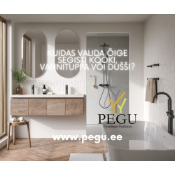 Kuidas valida õige segisti kööki, vannituppa või dušši?