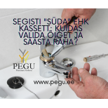 Segisti "süda" ehk kassett: Kuidas valida õiget ja säästa raha?