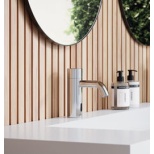 Kraan või Segisti: Kuidas teha õige valik