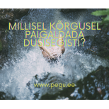 Millisel kõrgusel paigaldada dušisegisti?