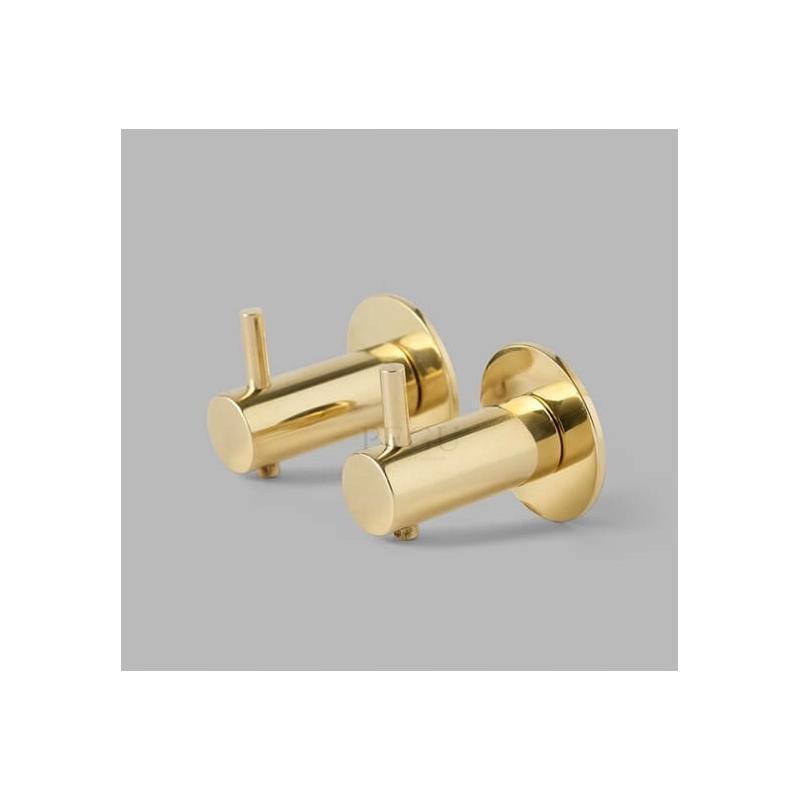 Nagi oksaga, d14x36mm, AISI316, kuldne messing 2 tk