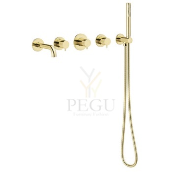 Damixa 570527700_Silhouet_BS2-Concealed_Polished_Brass.jpg