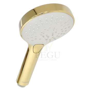 7668677_silhouet handshower_brass.png