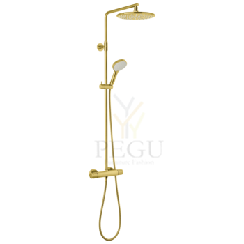 5795479_silhouet hh-showersystem_brushed brass.png