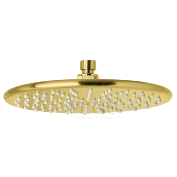 7666379_silhouet headshower_brushed brass.png