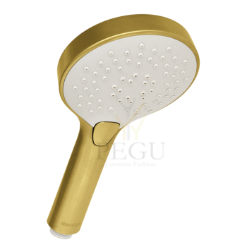 7668679_silhouet handshower_brushed brass.png