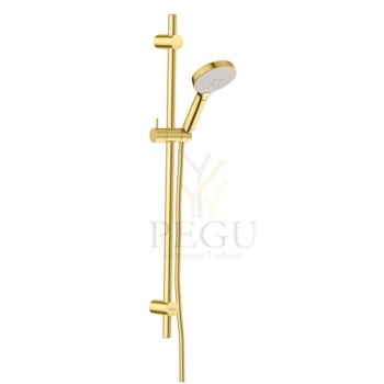 Damixa Silhouet lift 766887900_silhouet_flex_shower_set_brushed_brass.jpg