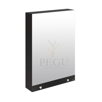 Peeglikapp_mirror-cabinet_510207_1.png