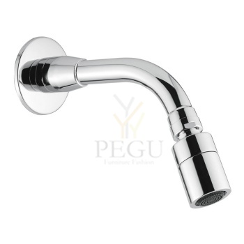 Idral dušipea 09031.jpg