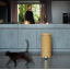 Brabantia prügikast pedaaliga 30L Warm Gold kuld 238765 pegu4.png