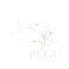 m29200.png