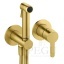 Bideesegisti Damixa harjatud kuld 741307900_Silhouet_bidet_concealed_brushed_brass.jpg