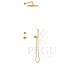 Süvistatud dušisüsteem Damixa IRIS DS 1, 30 cm pea- ja 3-režiimilise harjatud messing PVD 570697900