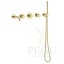 Damixa 570527700_Silhouet_BS2-Concealed_Polished_Brass.jpg