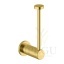 Damixa Silhouet 4831779 varurulli hoidik harjatud messing PVD_spare_toilet_paper_holder_brushed_brass.jpg