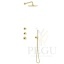 Poleeritud messing kuld seinasisene termostaatsegisti 5704577-Silhouet-HS1-Concealed-kit-Outer-Parts-Polished-Brass_VERTICAL.jpg