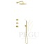 Damixa silhouet dušikomplekt termostaadiga harjatud messing kuld 5704579-Silhouet-HS1-Concealed-kit-Outer-Parts-Brushed-Brass_VERTICAL1.jpg