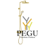 5795479_silhouet hh-showersystem_brushed brass.png