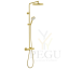 5795479_silhouet hh-showersystem_brushed brass.png