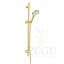 Damixa Silhouet lift 766887900_silhouet_flex_shower_set_brushed_brass.jpg