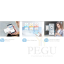 Veeboiler Midea Salute Flex WIFI9.png