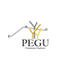 Mediclinics Pegu.png