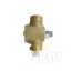 Presto ref.13120 tc-brass-flash-flush-valve1.jpg
