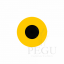 v300_52291_2_52291_NEOTRI_DESSUS.png