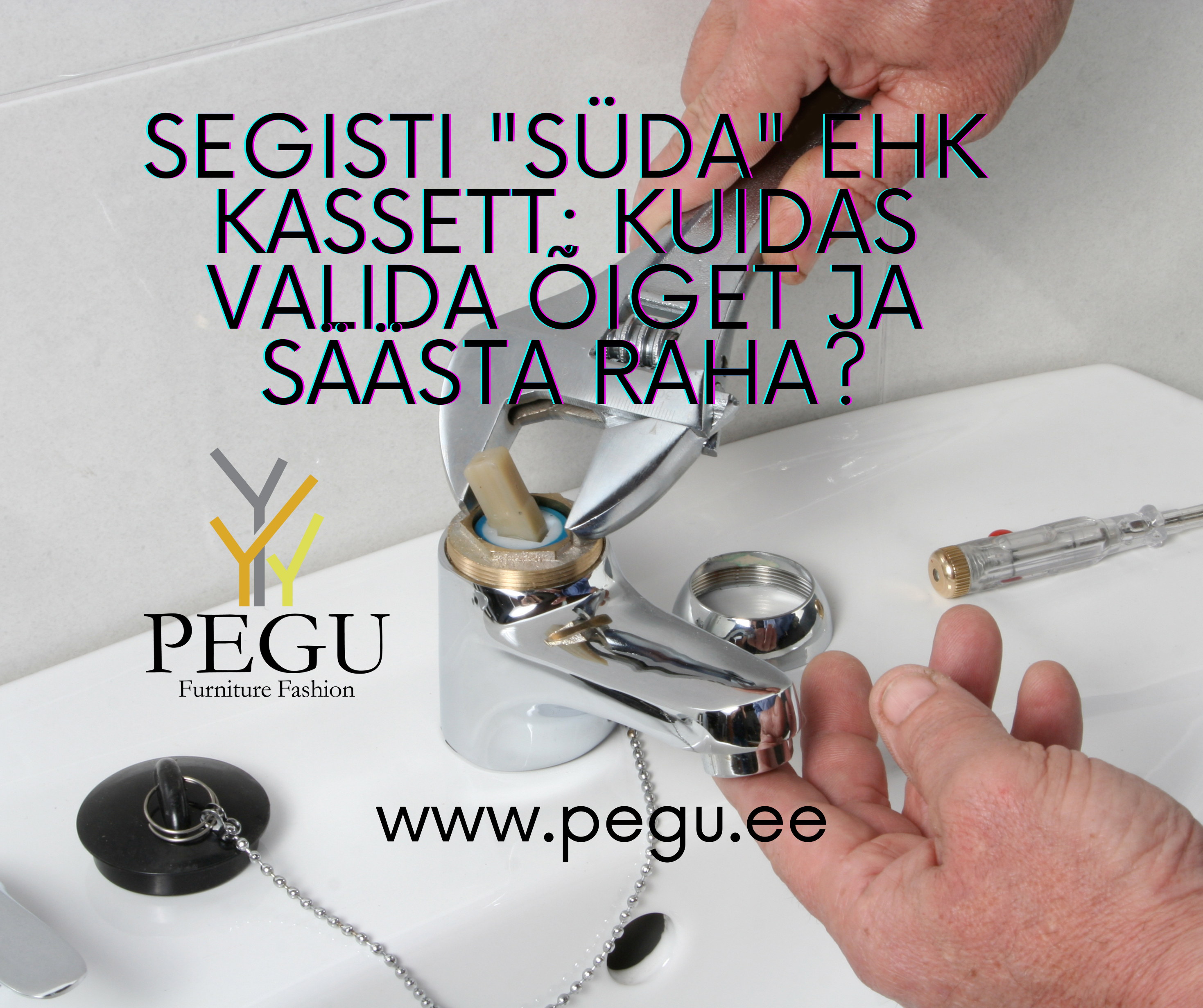 Segisti süda. Kuidas valida?