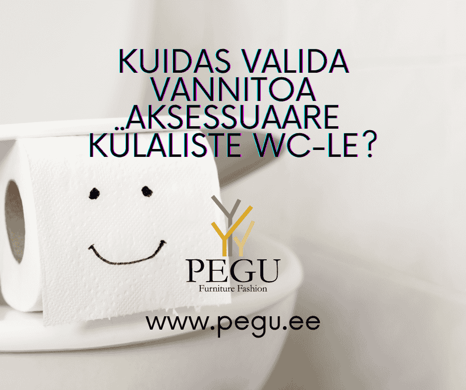 Kuidas valida vannitoa aksessuaare külaliste WC-le?