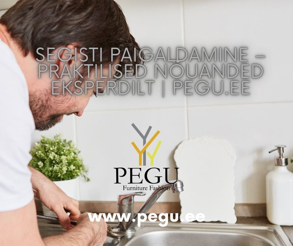 Segisti paigaldamine – praktilised nõuanded eksperdilt | PEGU.ee