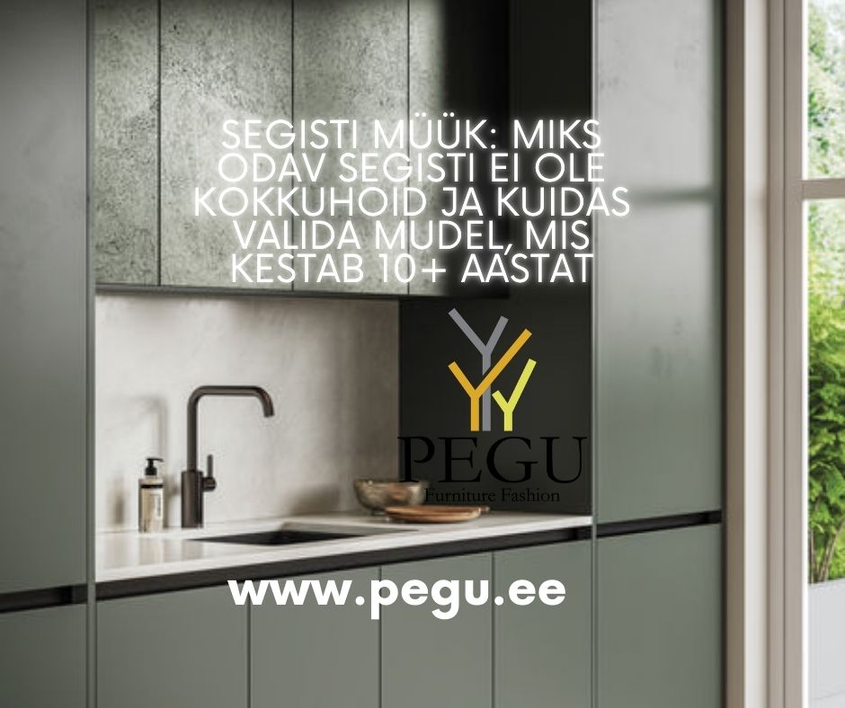 Segisti müük ja valimine: praktilised nõuanded ja kvaliteetsed köögisegistid PEGU e-poest