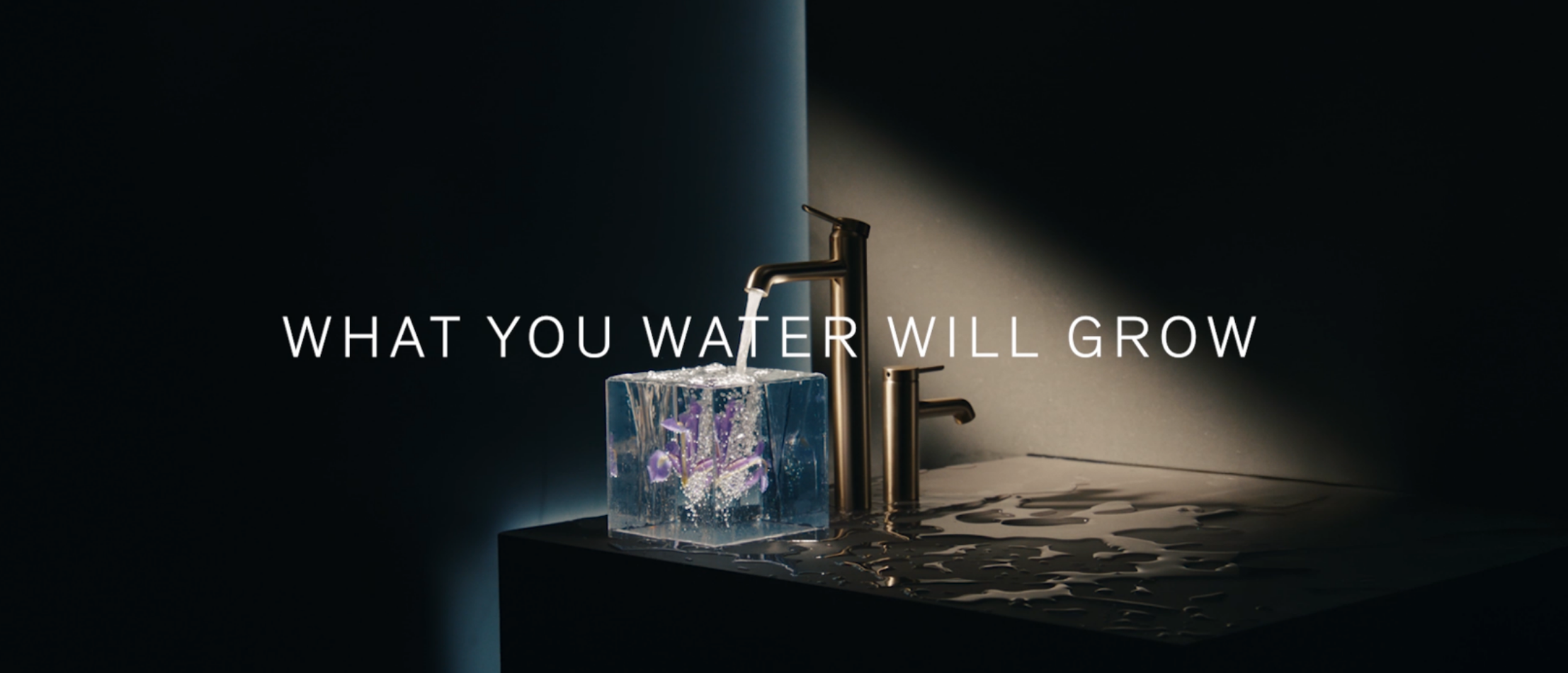 Segistid Damixa Iris